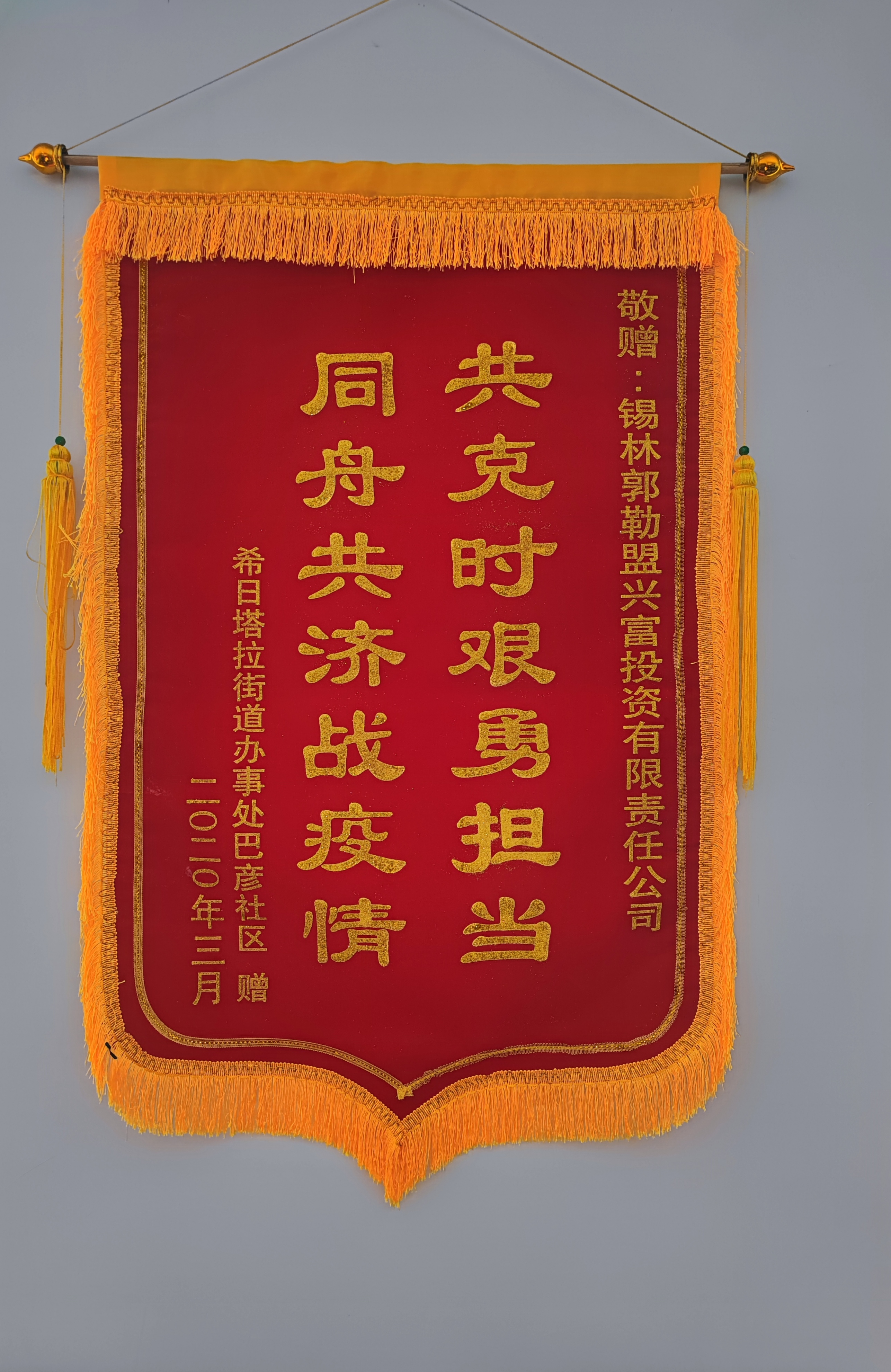 同舟共濟戰(zhàn)疫情錦旗